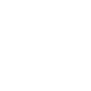 Funfact Icon 3
