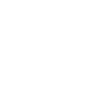 Service Detail Icon